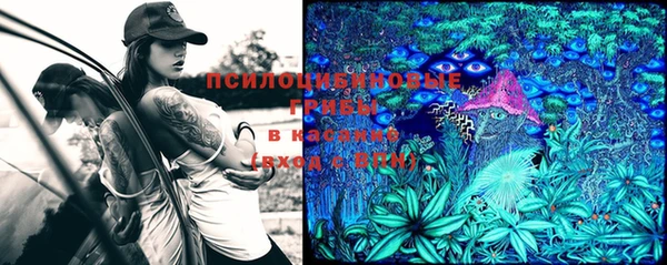 PSILOCYBIN Лиски