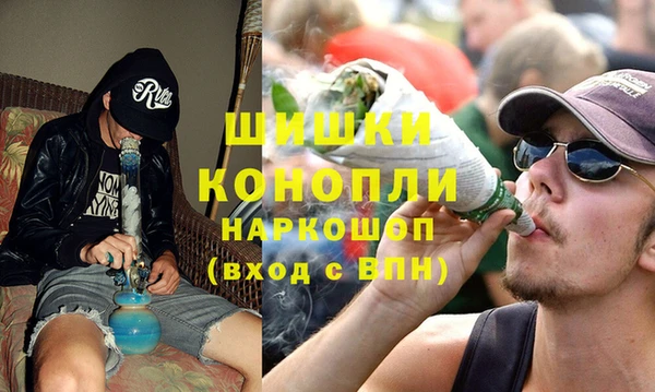 PSILOCYBIN Лиски