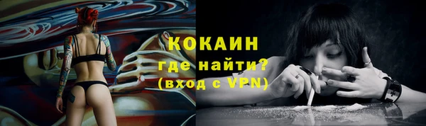 гидра Майский