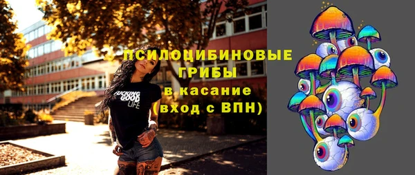 винт Липки
