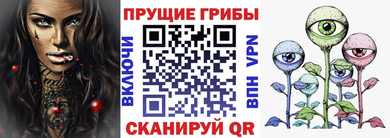 где купить наркоту  Севастополь  Псилоцибиновые грибы Psilocybe 