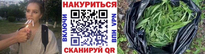 Шишки марихуана планчик  Севастополь 